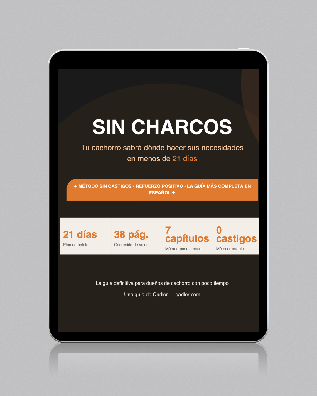 — Sin charcos (Ebook)—