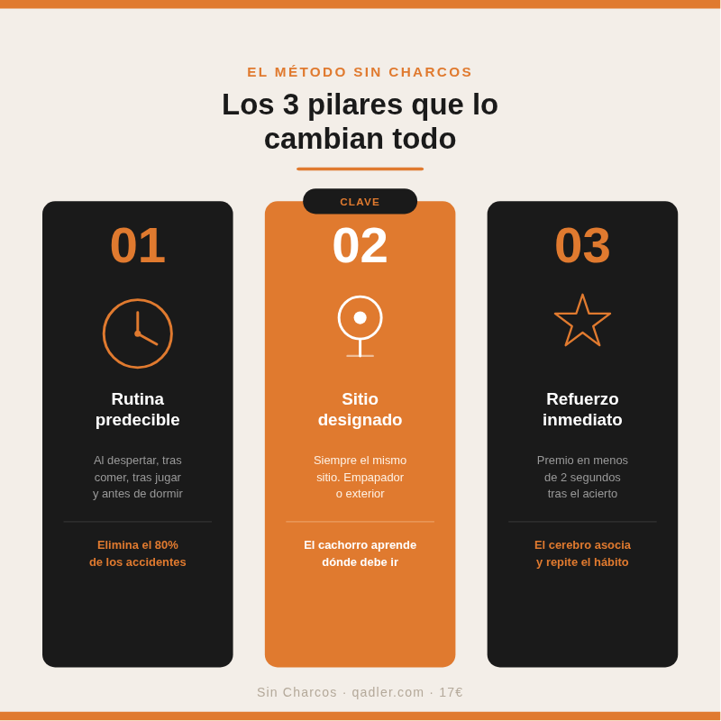 — Sin charcos (Ebook)—