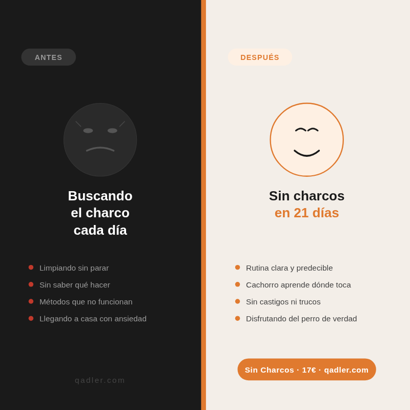 — Sin charcos (Ebook)—