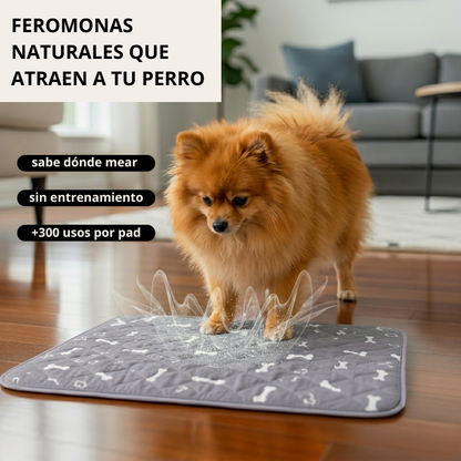 Empapador Lavable