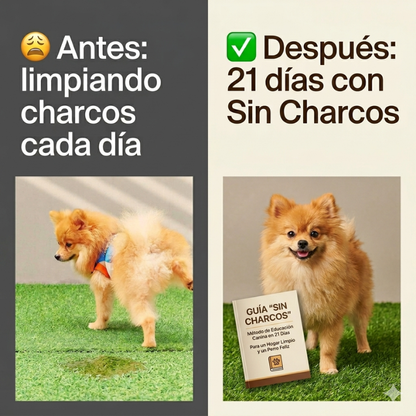 — Sin charcos (Ebook)—