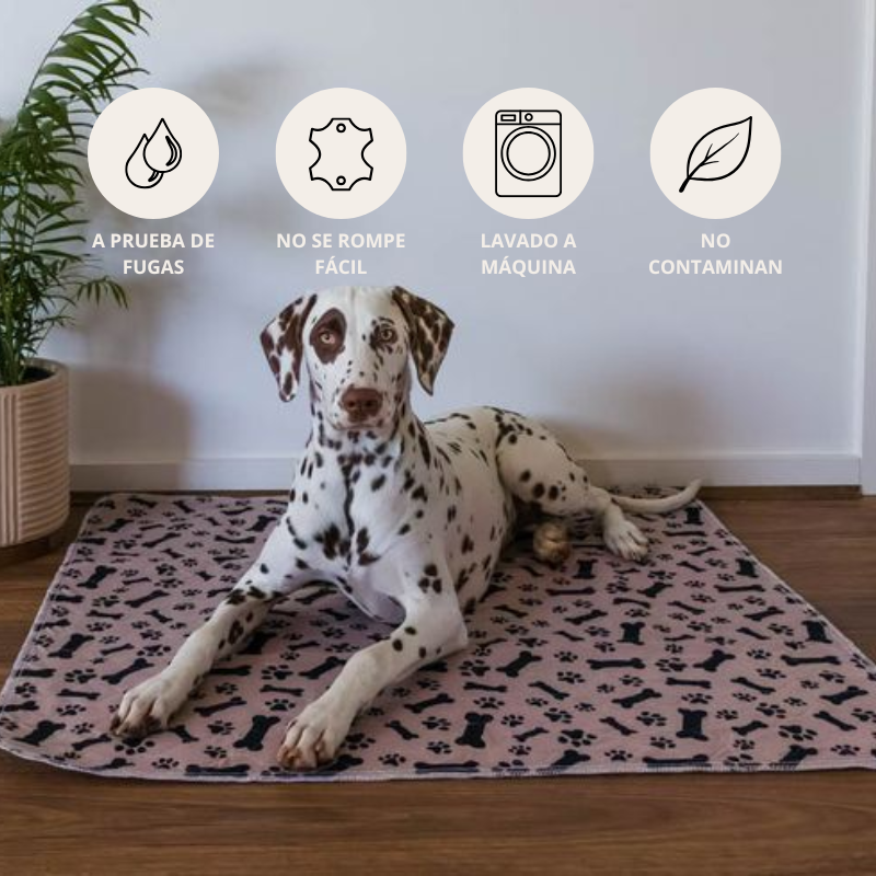 Empapador Lavable