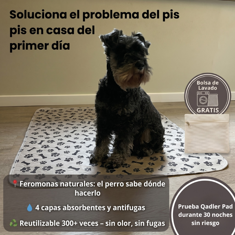 Empapador Lavable