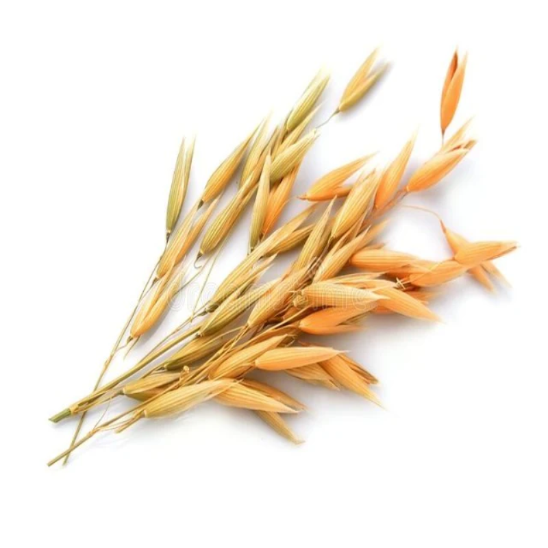 Extracto de Avena
