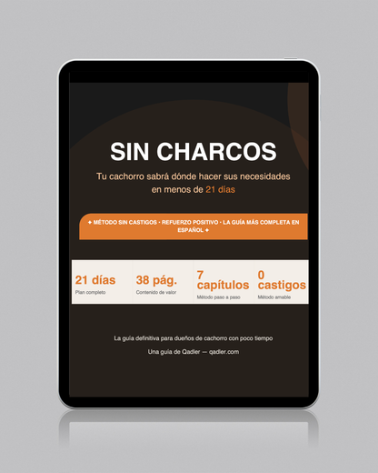 — Sin charcos (Ebook)—
