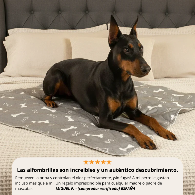 Empapador Lavable