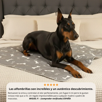 Empapador Lavable